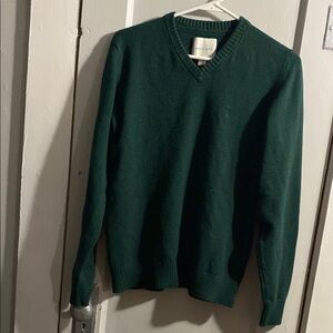 American Eagle Outfitters Green V-Neck Sweater